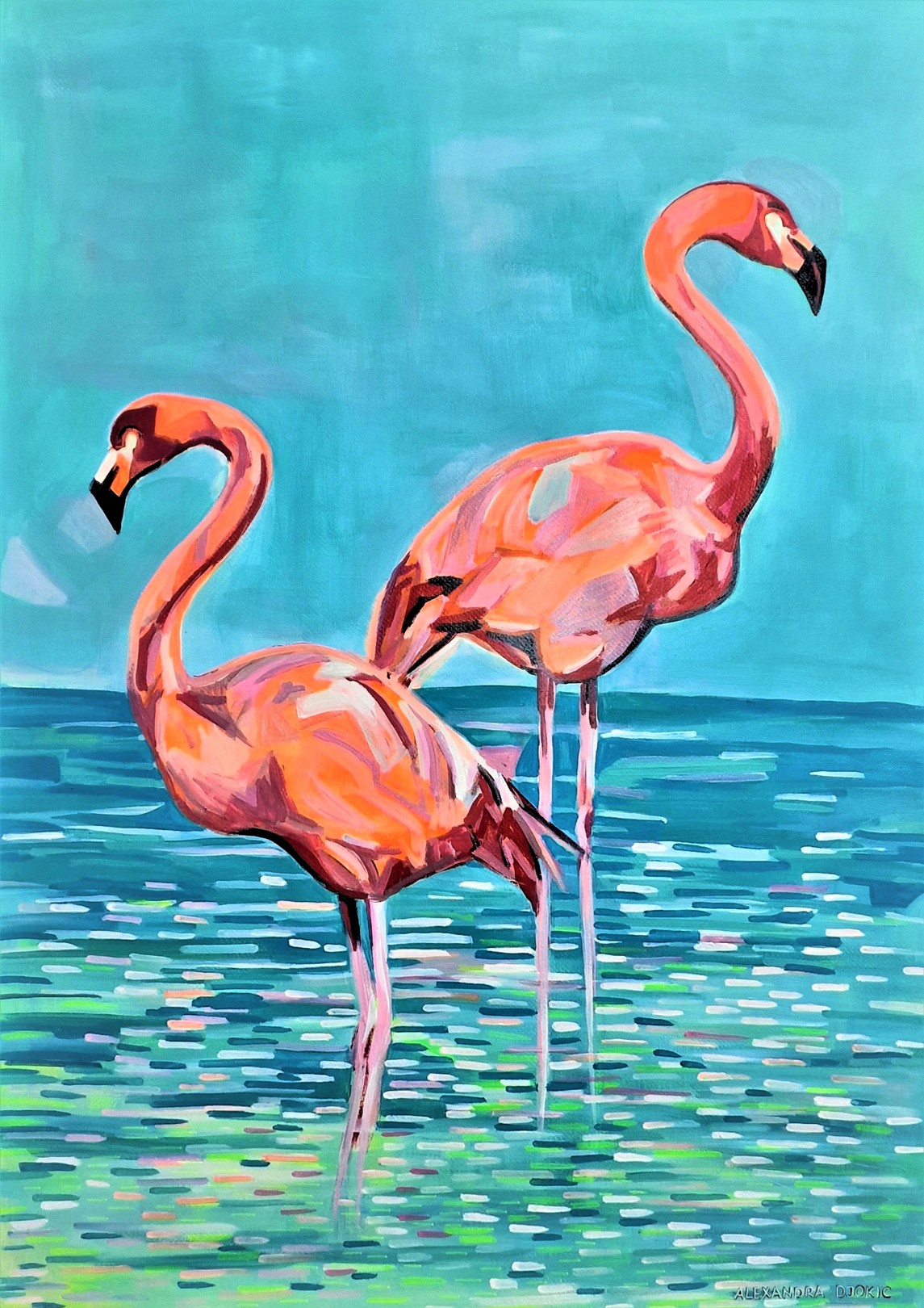 Alexandra Djokic, Flamingos Alexandra Djokic, Flamingos