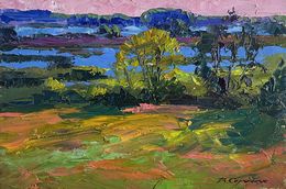 Painting, Small lakes in the field, Boris Serdyuk