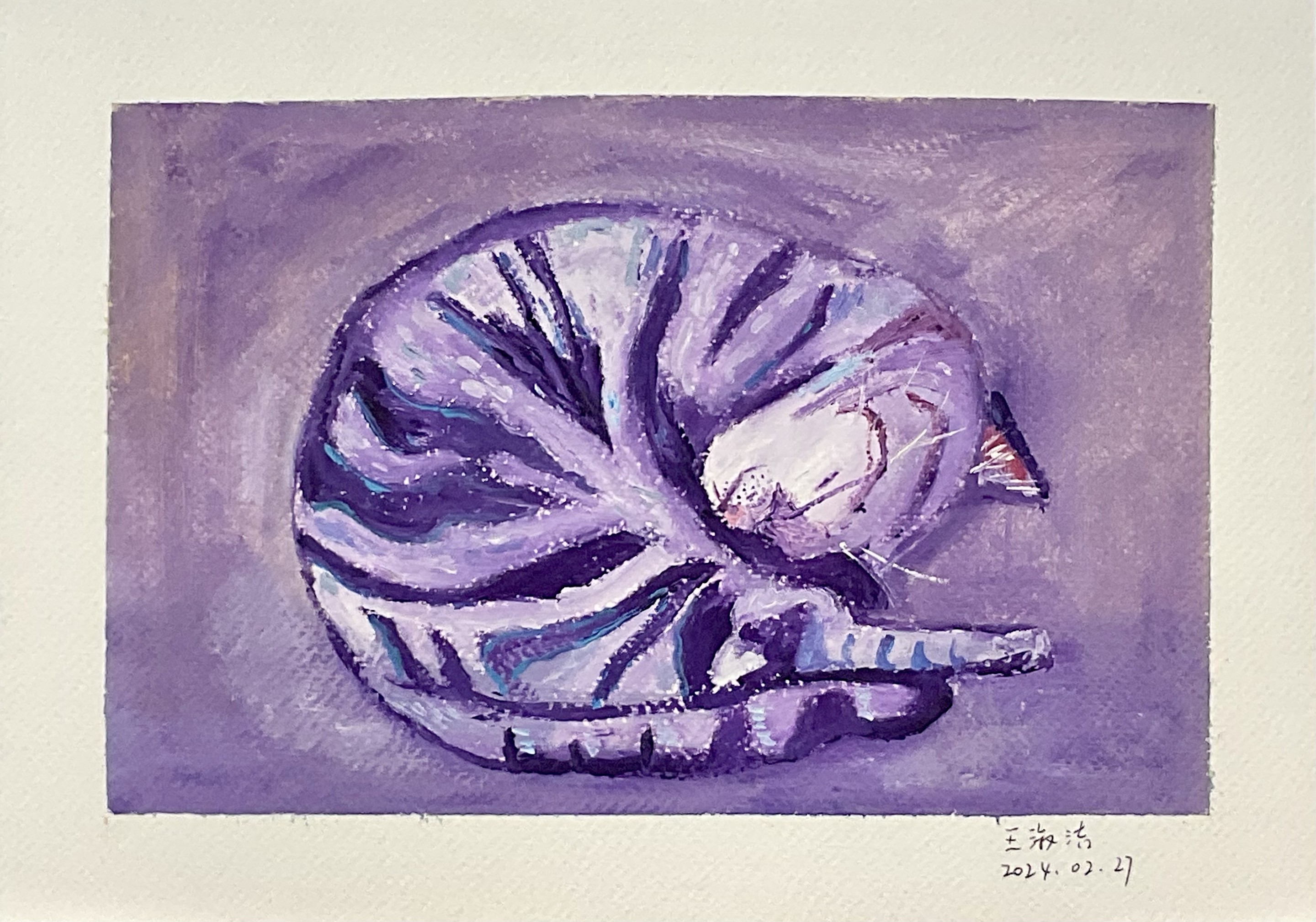 ShuJie Wang, Gomme, le chat ShuJie Wang, Gomme, le chat
