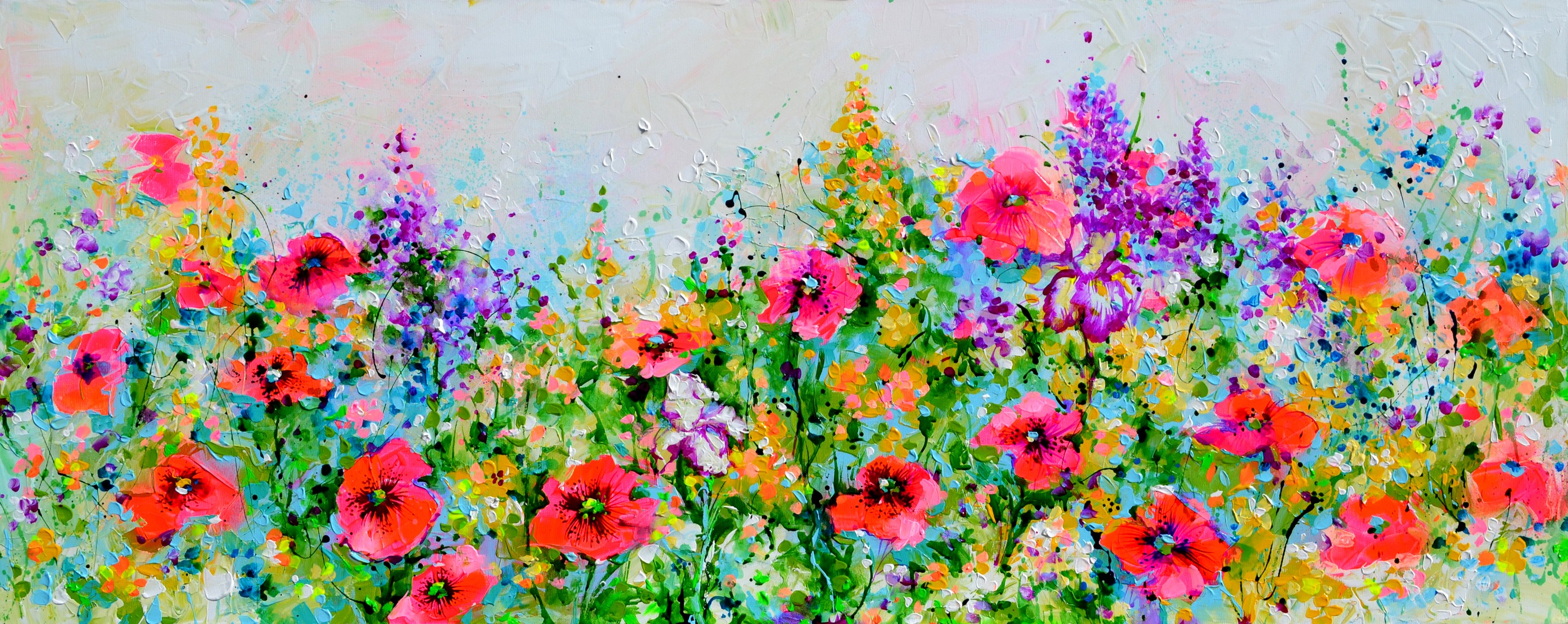 Soos Roxana, Red Poppy Field Poppies Iris Soos Roxana, Red Poppy Field Poppies Iris