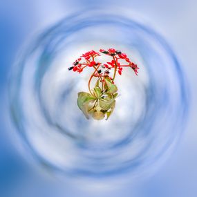 Photography, Vibration, Paul Marnef