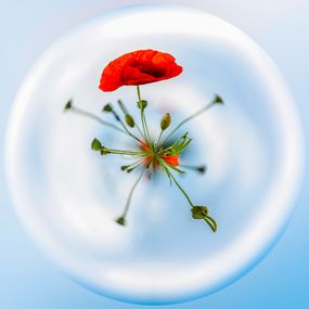 Photography, Espoir et Attente, Paul Marnef