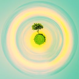 Fotografien, L'Arbre Solitaire Revisité, Paul Marnef