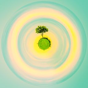 Photography, L'Arbre Solitaire Revisité, Paul Marnef