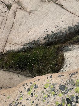 Fotografien, Spotted mountain, Mikaela Olovsson