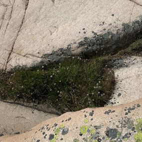 Photography, Spotted mountain, Mikaela Olovsson