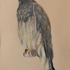 Gemälde, Eagle I, Pablo Viracocha