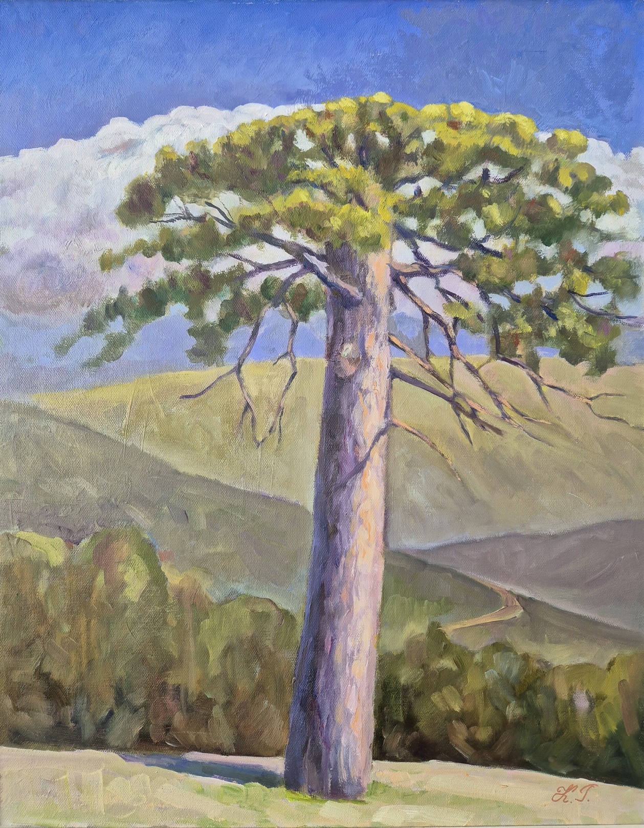 Tatiana Kyriakidou, Lonely Pine Tree in Trodos Tatiana Kyriakidou, Lonely Pine Tree in Trodos