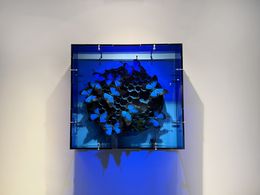 Sculpture, Atlantic Beautyness, Bouk De Roeck