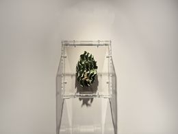 Sculpture, Mossy Daphnis, Bouk De Roeck