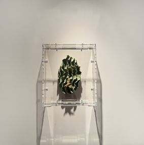 Sculpture, Mossy Daphnis, Bouk De Roeck