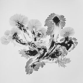 Fine Art Drawings, Natural Elements n°1, Imhathai Suwatthanasilp