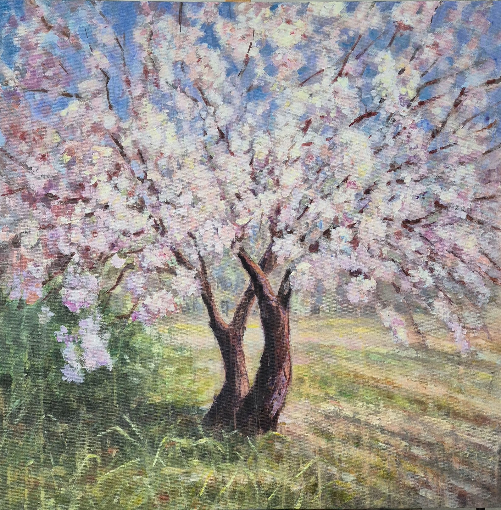 Tatiana Kyriakidou, Almond Tree Tatiana Kyriakidou, Almond Tree