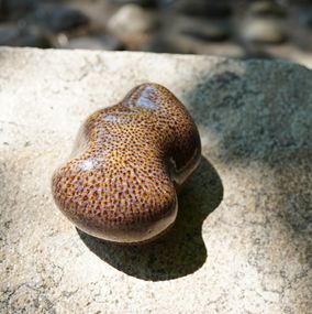 Sculpture, Mauve 47.44 # 4, Yona Zaffran
