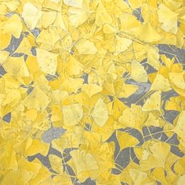 Peinture, One of Ginkgo III, Da Gyeom Jung