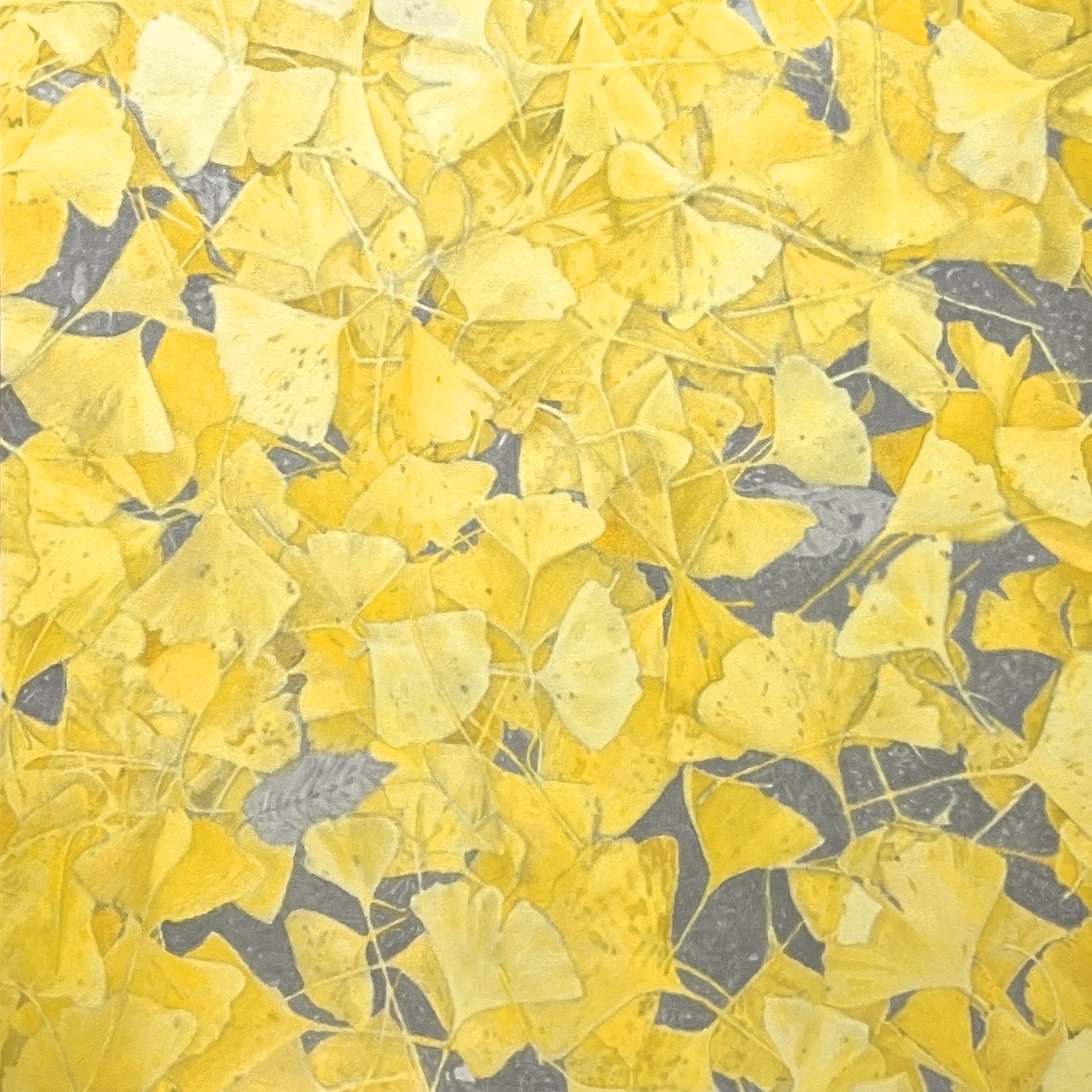 Da Gyeom Jung, One of Ginkgo III Da Gyeom Jung, One of Ginkgo III