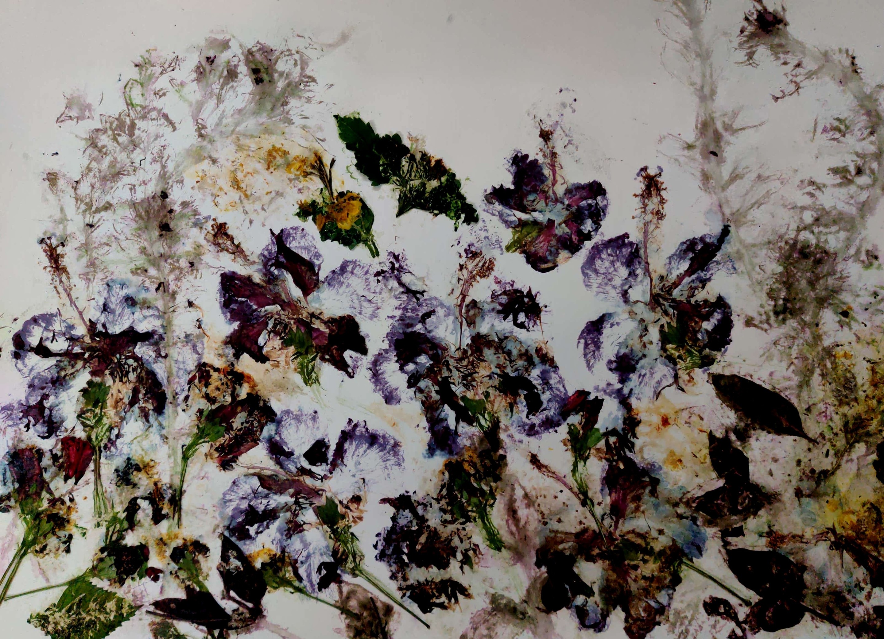 Anand Manchiraju, Floral abstract-3 Anand Manchiraju, Floral abstract-3