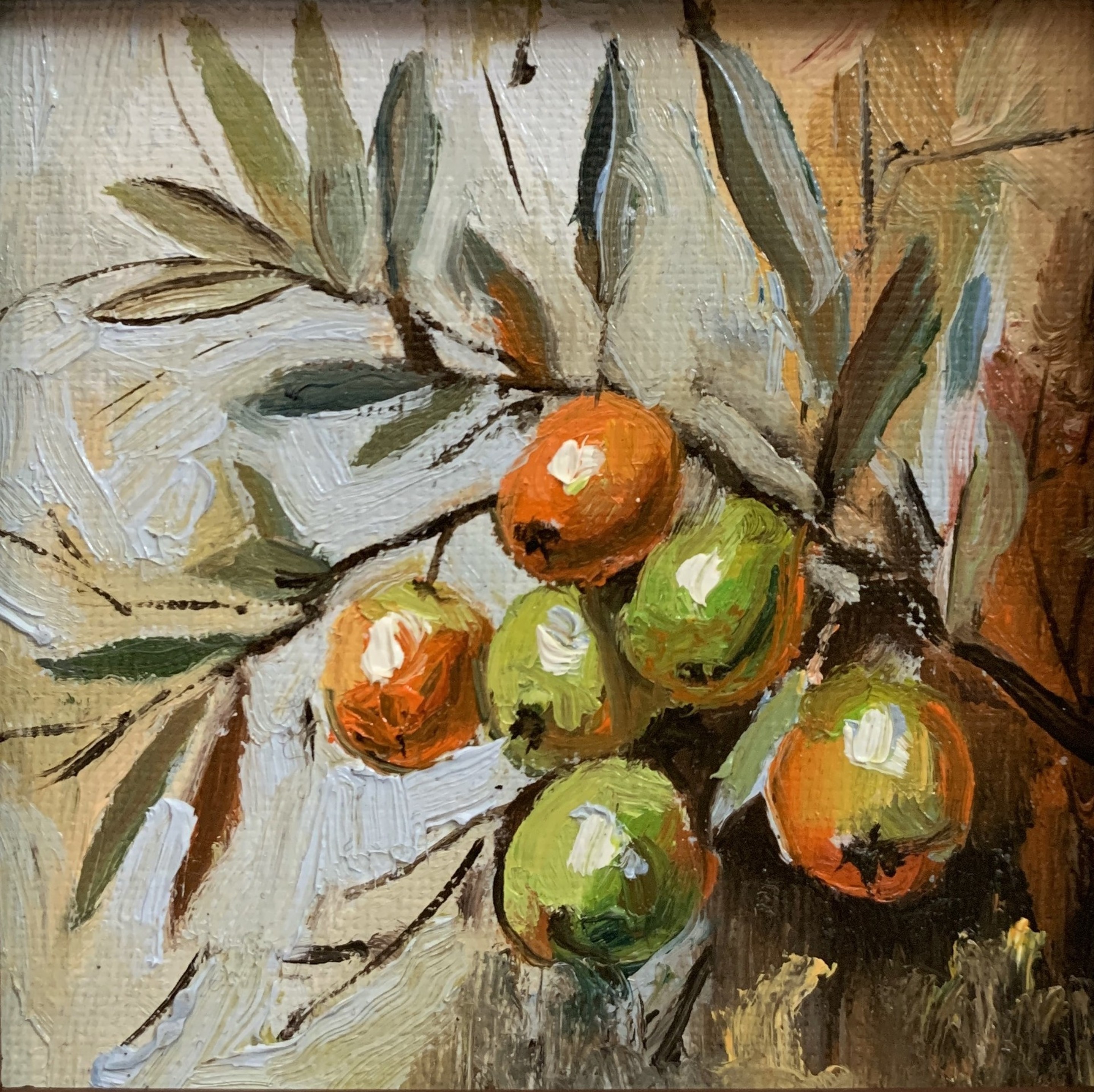 Schagen Vita, Olive branch Schagen Vita, Olive branch