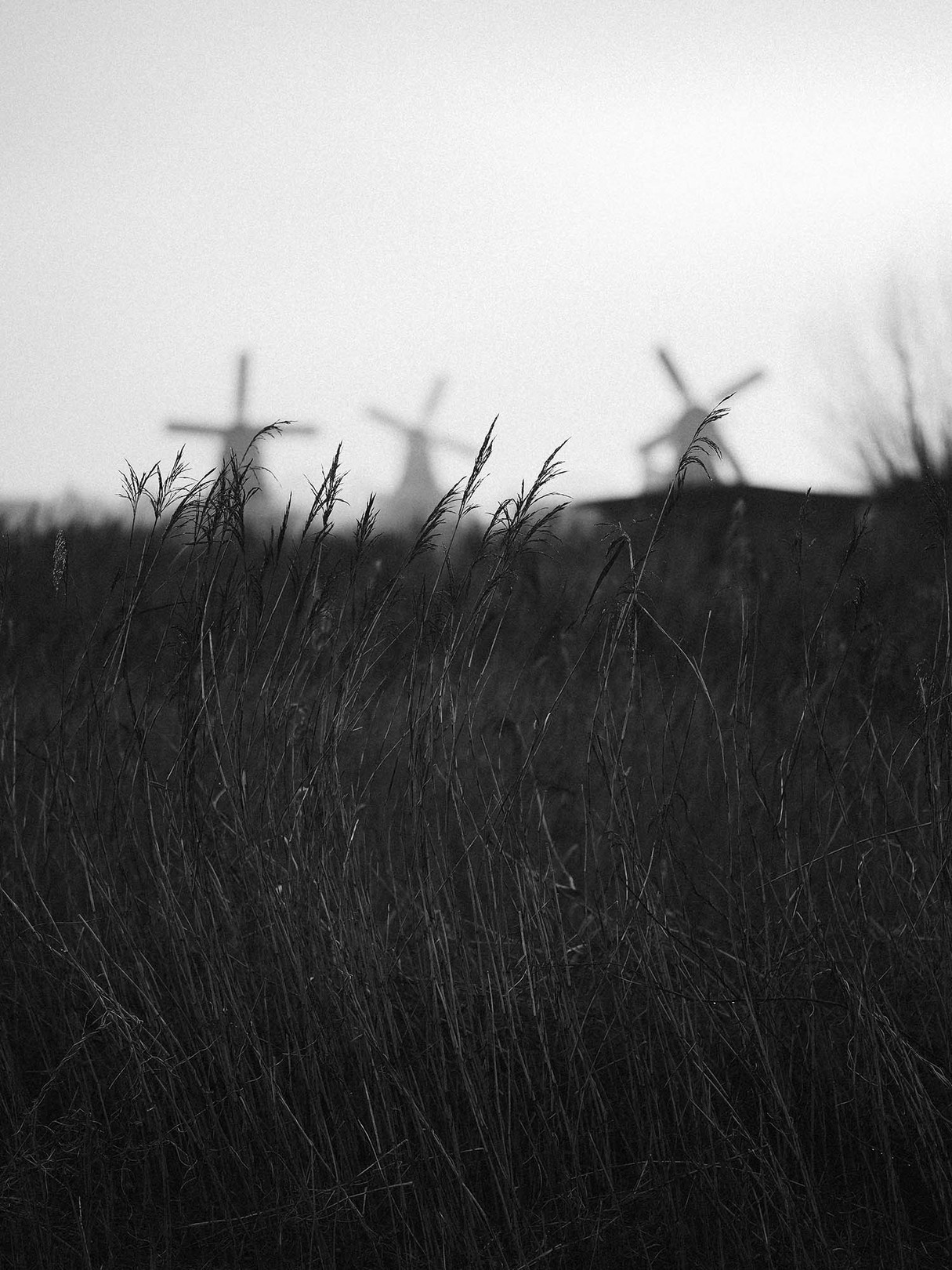 Tanguy Mendrisse, A travers les vents Tanguy Mendrisse, A travers les vents