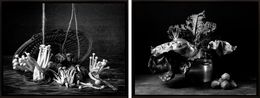 Fotografien, Hongos & Canasto and Kale & Coles de Bruselas Diptych, Dora Franco