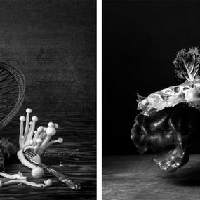 Photography, Hongos & Canasto and Kale & Coles de Bruselas Diptych, Dora Franco