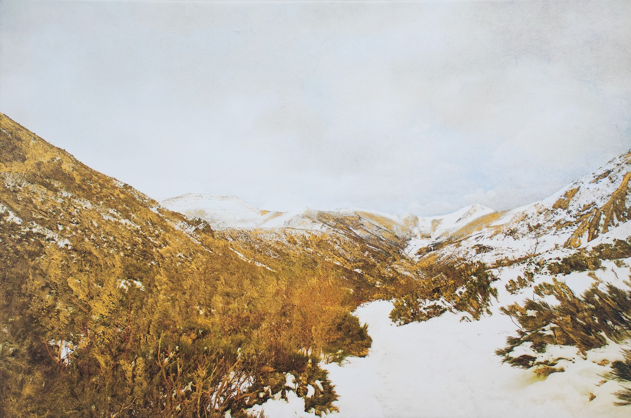 Viet Ha Tran, Golden mountain Viet Ha Tran, Golden mountain
