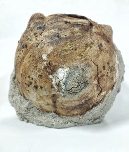 Sculpture, Pre Rodinia II, Eva Gomore
