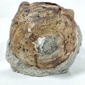 Skulpturen, Pre Rodinia II, Eva Gomore