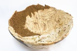 Sculpture, Bowl of Time II, Eva Gomore