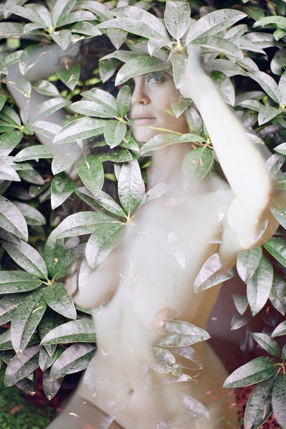 Clara Diebler, Dans la verdure Clara Diebler, Dans la verdure