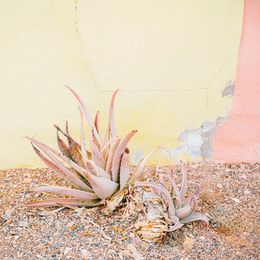 Fotografia, Fuerte N°16, Emilie Mori