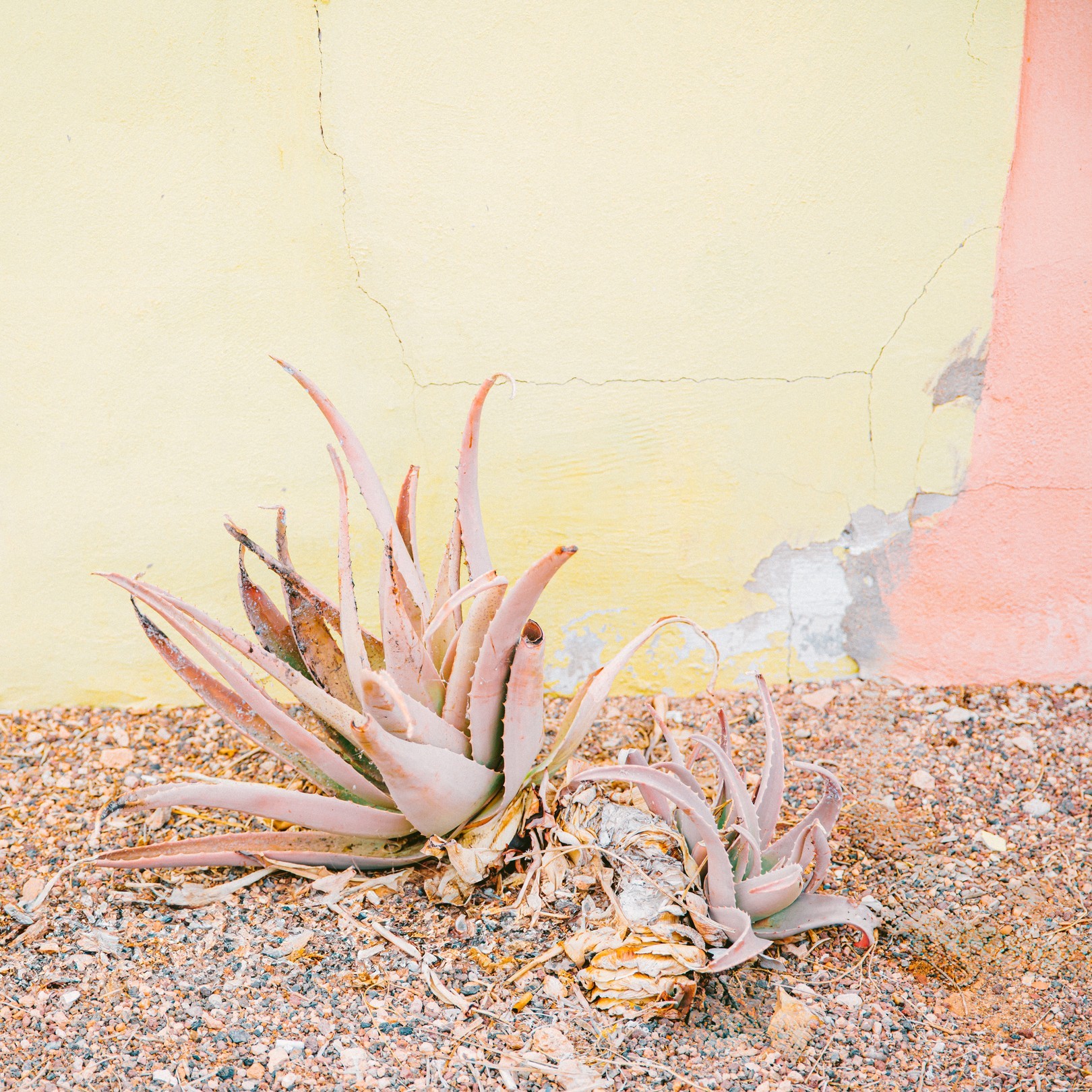 Emilie Mori, Fuerte N°16 Emilie Mori, Fuerte N°16
