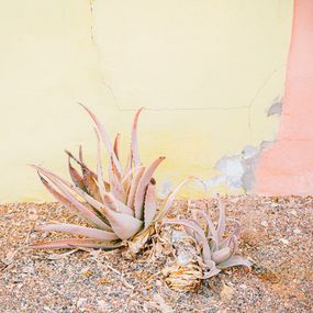 Photography, Fuerte N°16, Emilie Mori