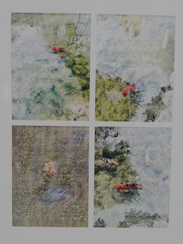 Photographie, « L’eau léchait… », à Giverny, pour Claude Monet, Sophie Lavine