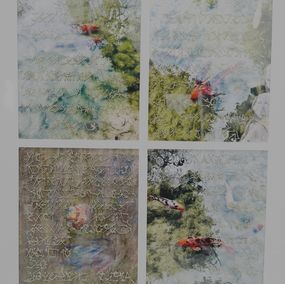 Photography, « L’eau léchait… », à Giverny, pour Claude Monet, Sophie Lavine