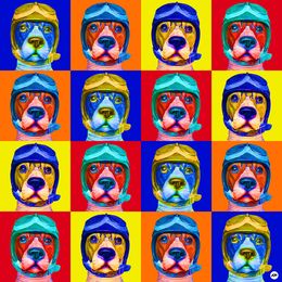 Photography, Dogs 16 in four colors, Jean-Marc Ambrosini