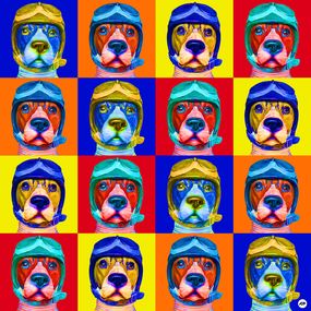 Photography, Dogs 16 in four colors, Jean-Marc Ambrosini