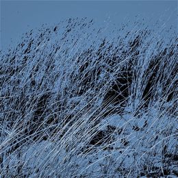 Fotografien, Herbes couchées, Jean-Marc Ambrosini