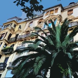 Photographie, Un palmier en façade, Jean-Marc Ambrosini