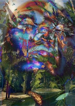 Photography, Electric Nature 1, Audrey Dupre
