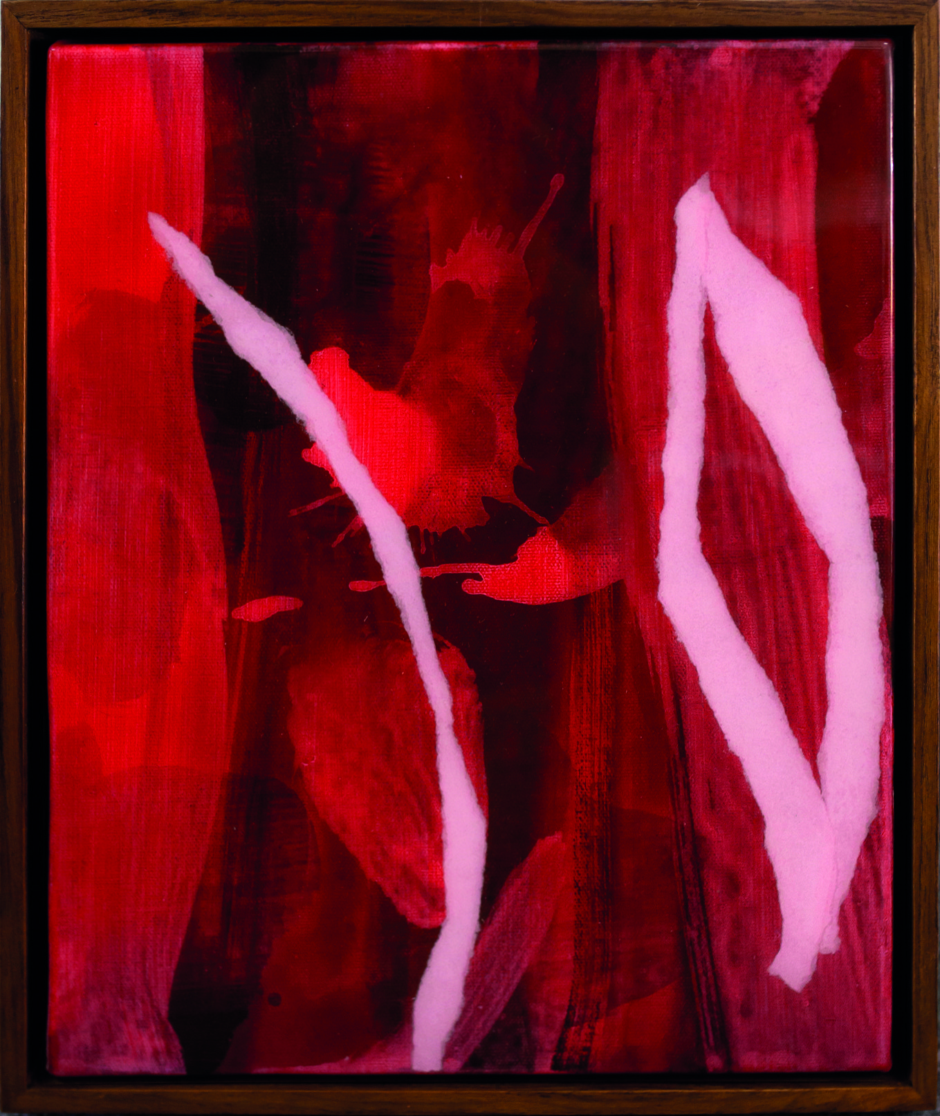 Kitikong Tilokwattanotai, Red leaf Kitikong Tilokwattanotai, Red leaf