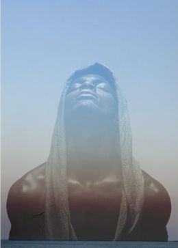Fotografien, Electric Nature 2, Audrey Dupre