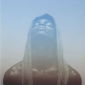 Fotografien, Electric Nature 2, Audrey Dupre