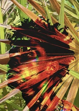 Photography, Electric Nature 3, Audrey Dupre