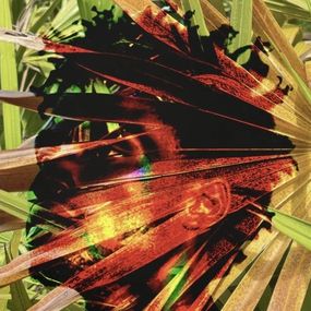 Photography, Electric Nature 3, Audrey Dupre