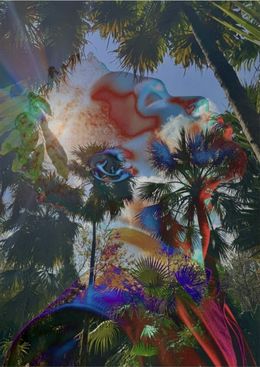 Photography, Electric Nature 5, Audrey Dupre