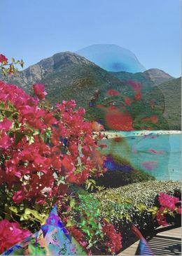 Photography, Electric Nature 6, Audrey Dupre