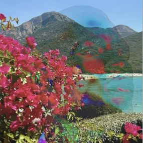 Fotografien, Electric Nature 6, Audrey Dupre
