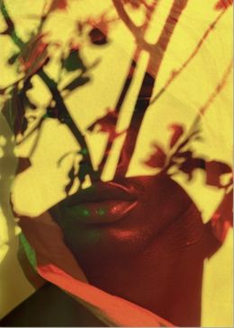 Photography, Electric Nature 7, Audrey Dupre