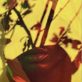 Photography, Electric Nature 7, Audrey Dupre